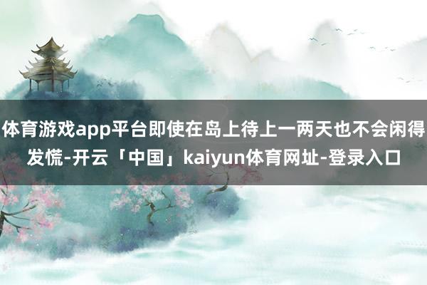 体育游戏app平台即使在岛上待上一两天也不会闲得发慌-开云「中国」kaiyun体育网址-登录入口