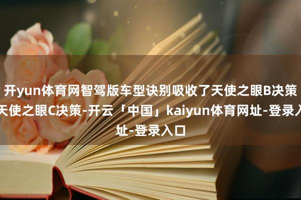 开yun体育网智驾版车型诀别吸收了天使之眼B决策和天使之眼C决策-开云「中国」kaiyun体育网址-登录入口